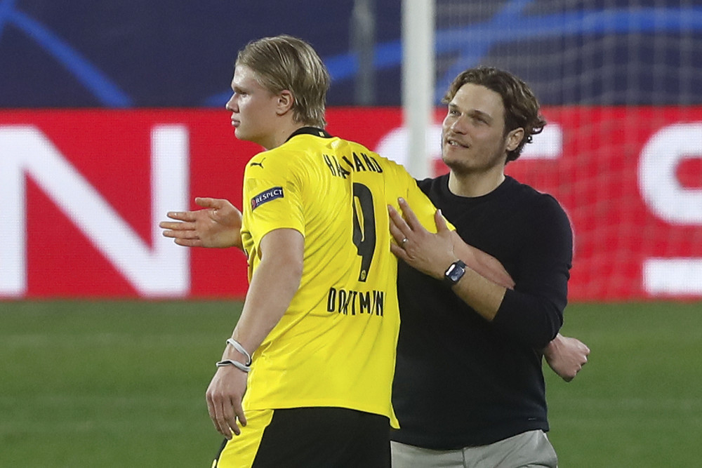 失去哈达迪 失去哈达迪